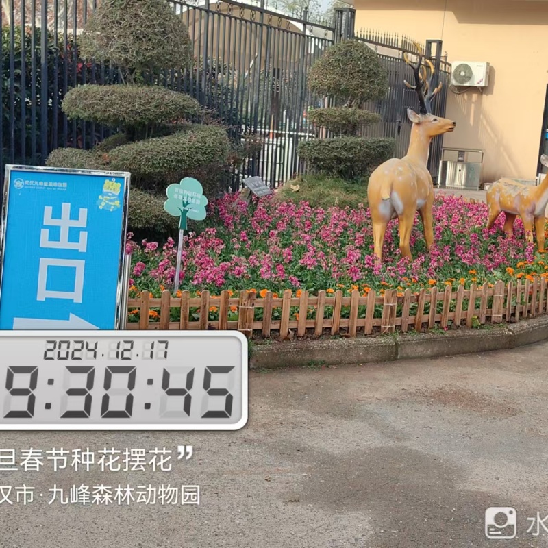綠化養(yǎng)護