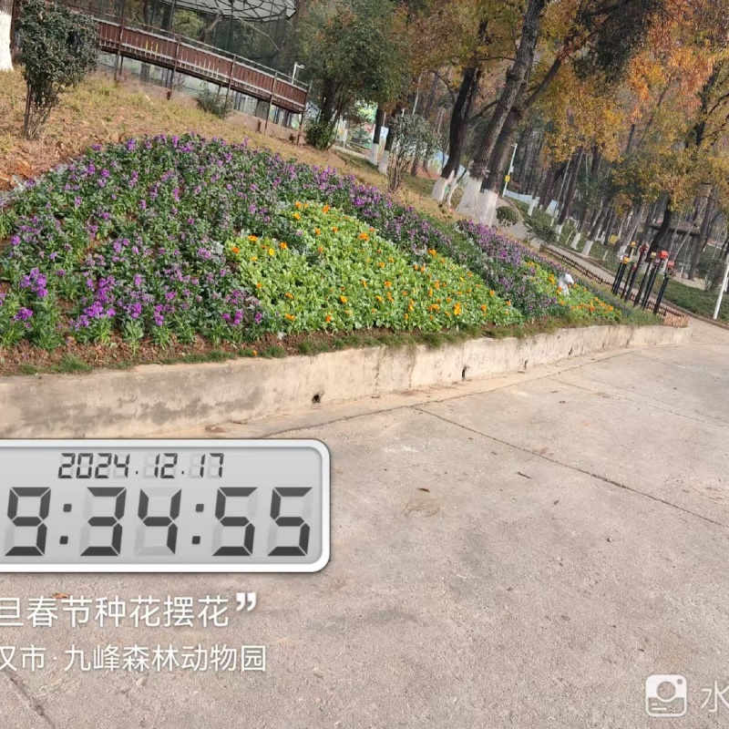 綠化養(yǎng)護