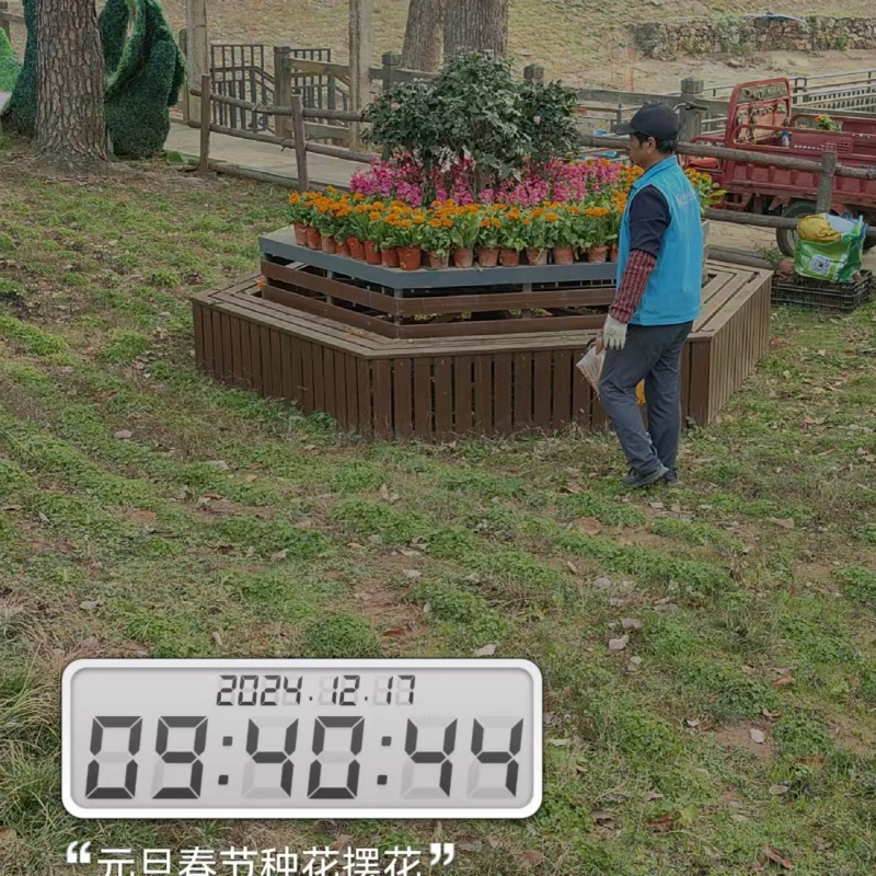 綠化養(yǎng)護